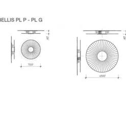 Bellis applique