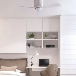 Bora ventilatore da soffitto con luce