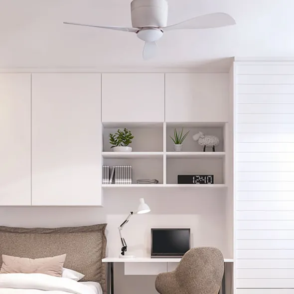 Bora ventilatore da soffitto con luce