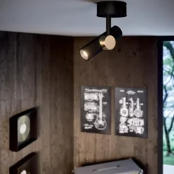 Goose proiettore da soffitto