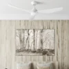 Nepal ventilatore da soffitto con luce