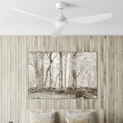 Nepal ventilatore da soffitto con luce