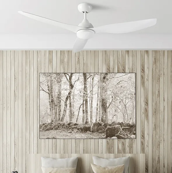 Nepal ventilatore da soffitto con luce