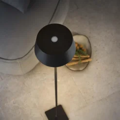 Pure lampada da terra da esterno