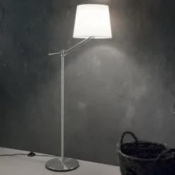 Regol piantana