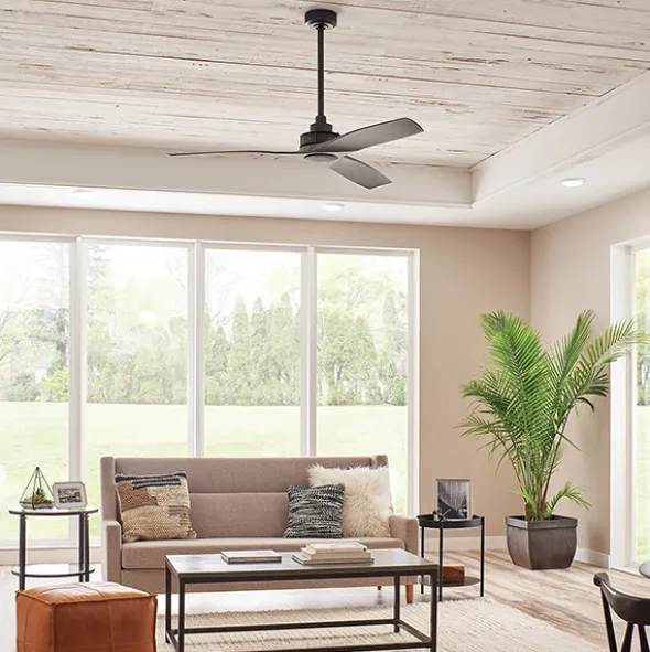 Ried ventilatore da soffitto