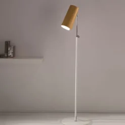 Thevetia lampada da terra