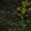 Zoom proiettore da esterno
